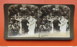 PHOTO STÉRÉO H.C. WHITE CO USA THE WEDDING BREAKFAST - Stereoscopio