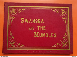 LIVRET 16 PHOTOGRAPHIES ALBUM SWANSEA AND THE MUMBLES TRAMWAY HIGH STREET  INFIRMARY SCHOOL MARKET BRYN MILL PARK L .... - Albumes & Colecciones