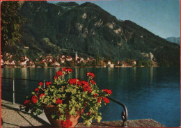 VITZNAU Ausblick Vom Park-Hotel Aufs Dorf - Vitznau