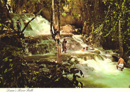 JAMAICA, DUNN'S RIVER FALLS, WATERFALL, ANTILLES, POSTCARD - Jamaïque