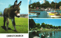 BOURNEMOUTH, CHRISTCHURCH, MULTIPLE VIEWS, DONKEY, BOATS, LAKE, SWAN, ARCHITECTURE, ENGLAND, UNITED KINGDOM, POSTCARD - Bournemouth (a Partire Dal 1972)
