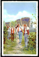 PINHÃO - VINICULTURA-Jornaleiros Transportando As Uvas Vindimadas(Ed.de C.Conseil De Vasconcelos Nº131)carte Postale - Vila Real