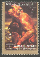 116 Ajman Singes Apes Monkeys Affe Aap Scimmia Mono (AJM-194) - Affen