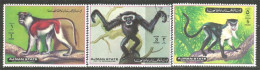 116 Ajman Singes Apes Monkeys Affe Aap Scimmia Mono (AJM-193) - Singes