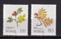 NORVEGE NEUF MNH ** 1980 Fleurs - Ongebruikt