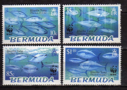 Bermuda - 2004 Endangered Species - Bluefin Tuna.WWF. MNH** - Bermuda