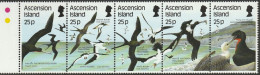 THEMATIC FAUNA:   SEA BIRDS  FRIGATE BIRDS   -  ASCENSION - Albatrosse & Sturmvögel