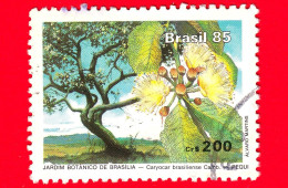 BRASILE - Usato - 1985 - Inaugurazione Del Giardino Botanico - (Caryocar Brasiliense) - 200 - Oblitérés