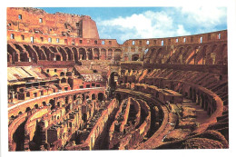 ROME, LAZIO, COLOSSEUM, ITALY, POSTCARD - Colisée