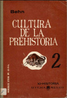 Cultura De La Prehistoria II - Frederich Behn - History & Arts