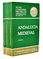 Actas I Congreso Historia De Andalucía. Tomos I, II Y III - Geschiedenis & Kunst