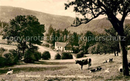 72647193 Waltersdorf Zittau Gasthaus Sommerfrische Neu-Sorge  Grossschoenau Sach - Grossschoenau (Sachsen)