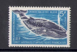 1966 TAAF - Fauna Marina - 5 Franchi Blu E Violetto - Yvert N. 22 - MNH** - Sonstige & Ohne Zuordnung