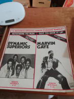 153 // 33 TOURS / DYNAMIC SUPERIORS / MARVIN GAYE - Sonstige - Englische Musik