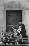 Chiot Chien Du St. Bernard Ecclésiastique - Bourg-Saint-Pierre 