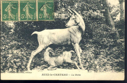 Auxi Le Chateau  La Biche - Auxi Le Chateau