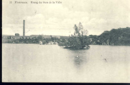 Florennes Etang Du Bois De La Ville - Florennes