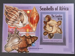 Coquillages Shells // Bloc Neuve ** MNH ; Gambie BF 790 (2013) Cote 11 € - Gambie (1965-...)