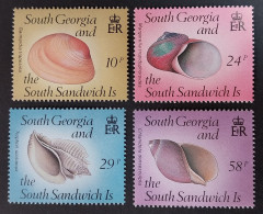 Coquillages Shells // Série Complète Neuve ** MNH ; Géorgie Du Sud & Sandwich YT 184/187 (1988) Cote 6.50 € - Südgeorgien