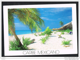 MEXICO - Playa Del Carmen - STAMP Timbre - México