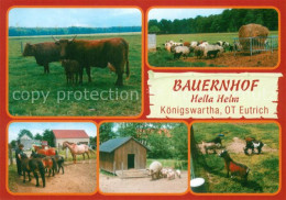 73741221 Koenigswartha Bauernhof Hella Helm Rinder Schafe Pferde Schweine Ziegen - Jonsdorf