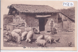 EN PERIGORD- TOUT LE MONDE EST SERVI- LES PORCS ET LA BASSE-COUR - Autres & Non Classés