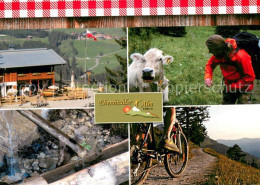 73719985 Reutte Tirol Ehenbichler Alm Terrasse Kuh Bergtour Brunnen Reutte Tirol - Altri & Non Classificati