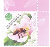 2020. Moldova, UNO, 2020 - International Year Of Plant Health, Bee, Flower, 1v, Mint/** - Moldavie