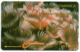 Dominica - Feather Duster Worm - 7CDMF (with Regular O) - Dominica
