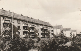 0-1602 BESTENSEE, Rudi-Arnstadt-Strasse, 1965, Rotophot - Bestensee