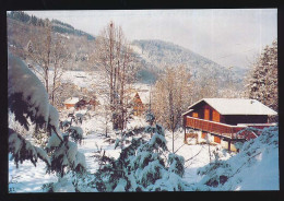 CPSM / CPM 10.5 X 15 Vosges Chalets Sous La Neige à Habeaurupt Visitez La CDHV Confiserie Des Hautes Vosges - Plainfaing