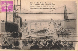 ILLUSTRATEURS & PHOTOGRAPHES - Par La Tête Et Par La Queue - On La Retire C'est Merveilleux - Carte Postale Ancienne - Non Classificati