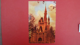 Cinderella Castle-Fantasyland - Disneyland