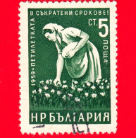 BULGARIA - Usato - 1960 - Piano Quinquennale In Tempi Brevi (1959) - Agricoltura - Raccoglitrice Di Cotone - 5 - Used Stamps