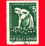 BULGARIA - Usato - 1960 - Piano Quinquennale In Tempi Brevi (1959) - Agricoltura - Raccoglitrice Di Cotone - 5 - Usados