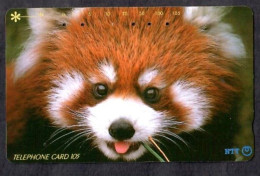 Japan 1V Red Panda NTT Used Card - Giungla