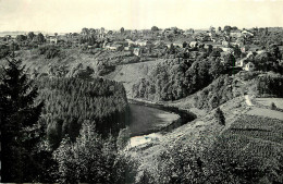 BELGIQUE  CHINY SUR SEMOIS  PANORAMA PRISE DU TERME - Chiny