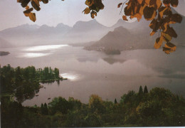 CPM - P - HAUTE SAVOIE - LAC D'ANNECY - MATIN AU PETIT LAC - Andilly