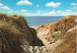 BELGIQUE - Middelkerke - La Plage - Carte Postale - Middelkerke