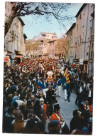 BARJOLS - La Fête De St Marcel - Le Défilé Dans La Ville (carte Photo Animée) - Barjols