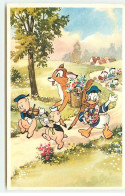 Disney - Donald Et Bambi Suivant Les Trois Petits Cochons Sur Un Chemin - Disneyworld