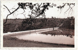 81. Pf. GRAULHET. Le Barrage. Le Lac. La Digue - Graulhet