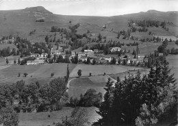 15-DIENNE- AU PIED DU PUY MARY - Autres & Non Classés