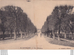 D60  ATTICHY  Les Avenues - Attichy