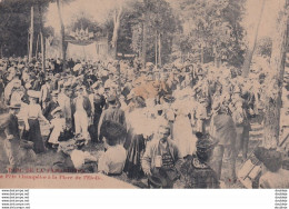 D94  PARC DE LA FAISANDERIE  La Fête Champètre à La Place De L'Étoile - Villeneuve Le Roi