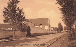 BELGIQUE - Waterloo - Ferme De La Hale Sainte - Carte Postale Ancienne - Waterloo