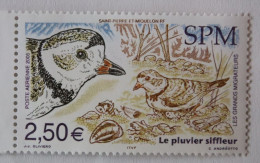 SPM 2005  Faune Oiseaux Le Pluvier Siffleur  PA85    Neuf - Neufs