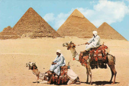Egypt, The Giza, Pyramid Group, Camel, Used - Gizeh