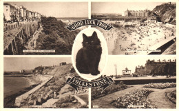 FOLKESTONE, KENT, MULTIPLE VIEWS, ARCHITECTURE, CAT, BEACH, PARK, CAR, ENGLAND, UNITED KINGDOM, POSTCARD - Folkestone