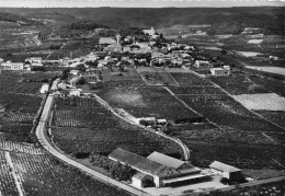 84-RASTEAU- VUE AERIENNE LA CAVE DES VIGNERONS ET LE VILLAGE - Autres & Non Classés